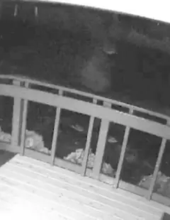 Pregnancy Resource Center Arson — additional photo 3