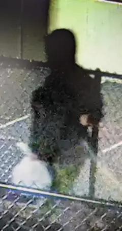 Tesla Charging Station Arson — additional photo 2