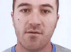 MALO, Shpendi