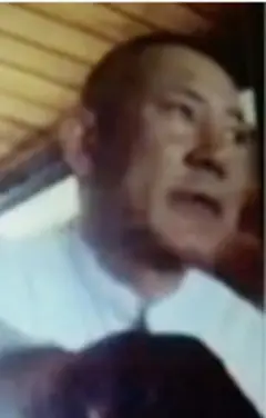 BI HONGWEI