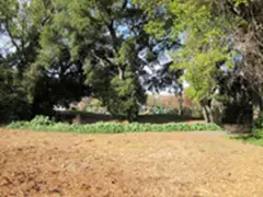 Ilene Beth Misheloff — additional photo 3