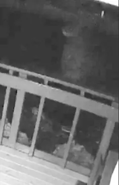 Pregnancy Resource Center Arson — additional photo 4