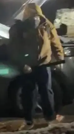 VANDALISM, DESTRUCTION, AND THEFT OF GOVERNMENT PROPERTY