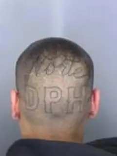 Santino Mario Garcia — additional photo 3