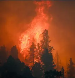 New Mexico Fires — additional photo 4