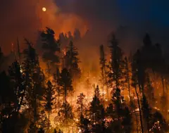 New Mexico Fires — additional photo 2