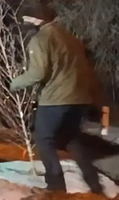 VANDALISM, DESTRUCTION, AND THEFT OF GOVERNMENT PROPERTY
