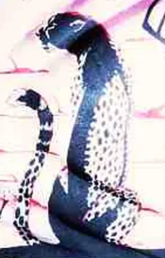 Baby Jane Doe — additional photo 2