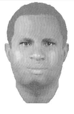 D.C.-AREA HOTEL RAPIST