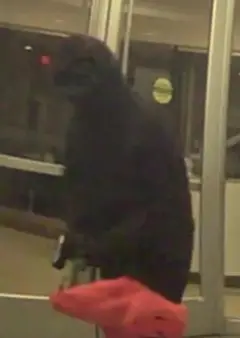 Atm Robbery — additional photo 2