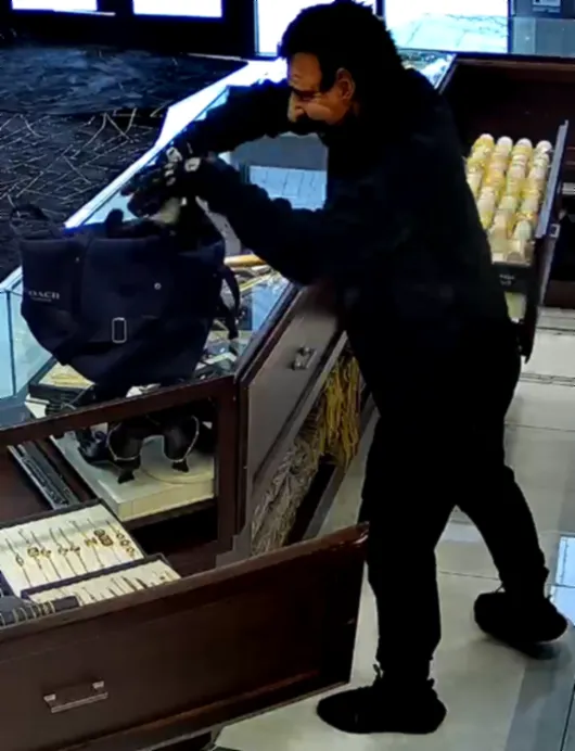 Jewelry Store Robberies — photo published by FBI