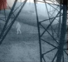 Shooting Of Energy Facility Substation — additional photo 2
