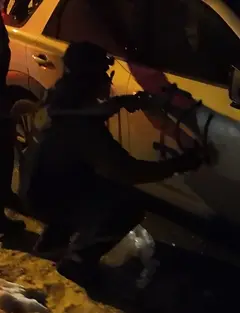 VANDALISM, DESTRUCTION, AND THEFT OF GOVERNMENT PROPERTY