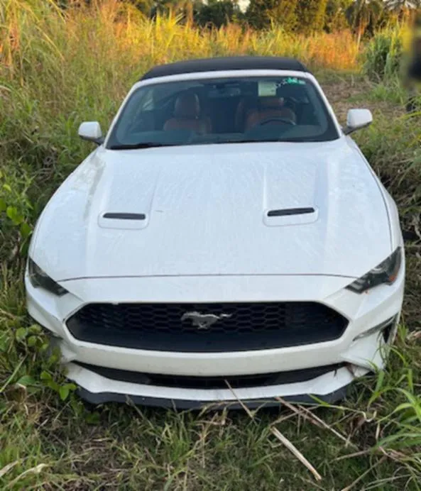 Carjacking — photo published by FBI